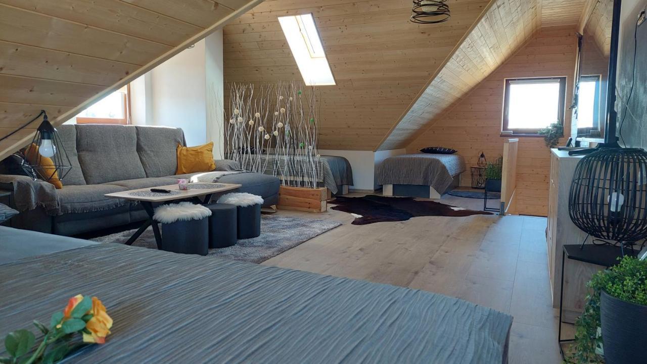 Apartman Pod Smrcinou Vaclavov u Bruntalu Екстер'єр фото