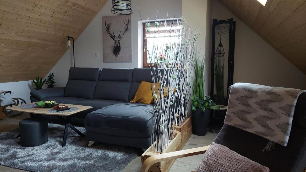 Apartman Pod Smrcinou Vaclavov u Bruntalu Екстер'єр фото