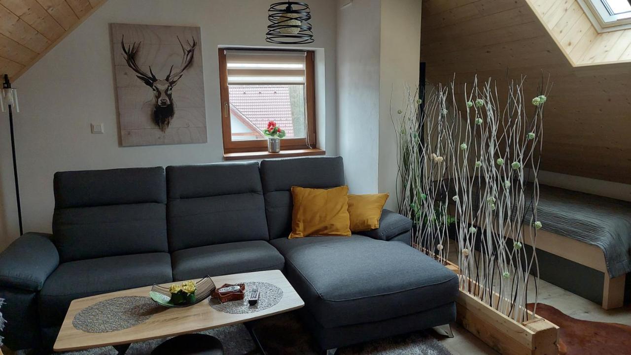 Apartman Pod Smrcinou Vaclavov u Bruntalu Екстер'єр фото